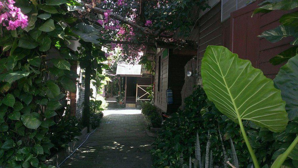 Ombak Inn Chalet Kampung Teluk Nipah Exterior photo